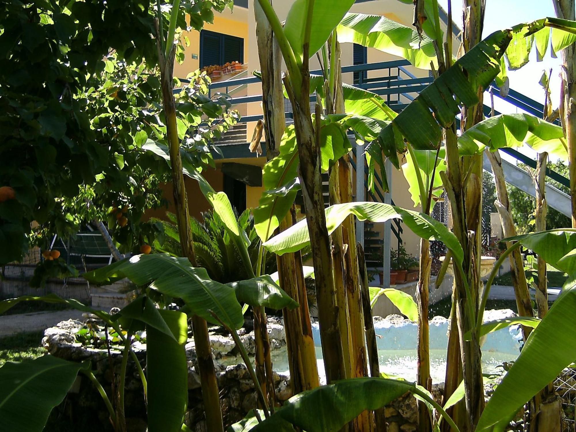 Bed and Breakfast Vento Dell'Est San Cataldo  Esterno foto