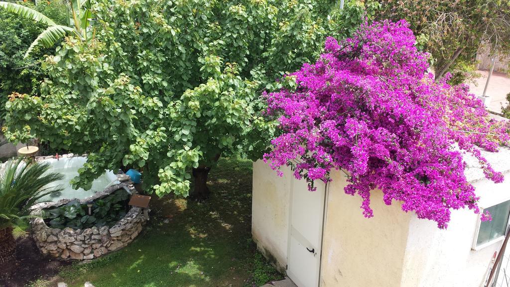 Bed and Breakfast Vento Dell'Est San Cataldo  Esterno foto